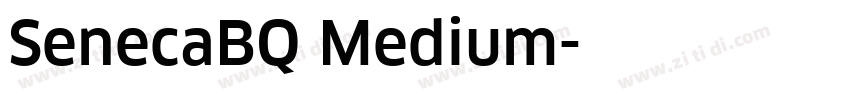 SenecaBQ Medium字体转换